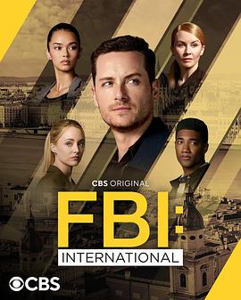 联邦调查局：国际 第四季 FBI: International Season 4