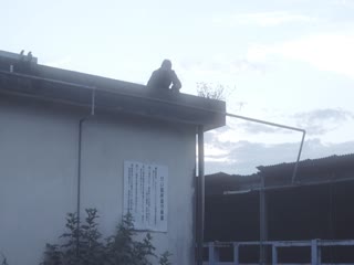 机甲女神之究极神兵