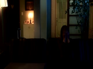 情事2~危险的性游戏