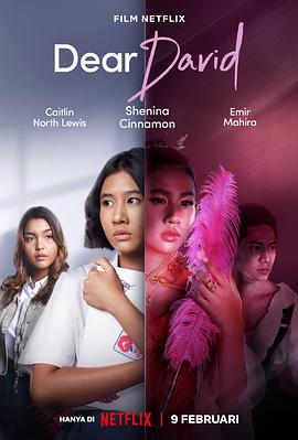 亲爱的大卫 Dear David