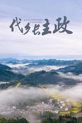 代乡长主政 1080P(高清SDR)