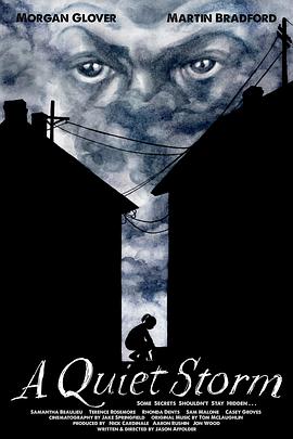 寂静风暴 A Quiet Storm