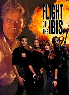 猎枭行动 Flight of the Ibis